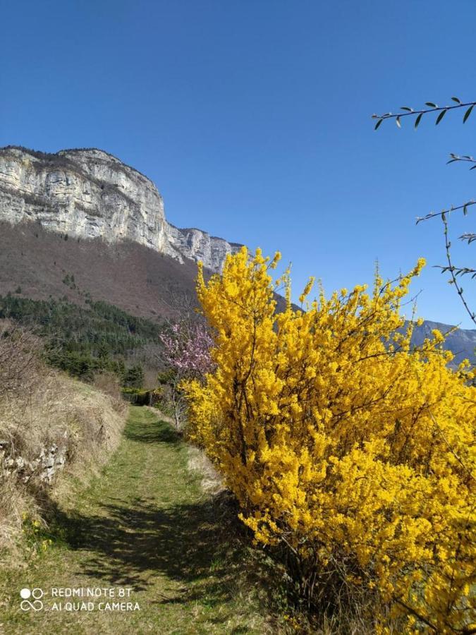 Studio Au Pied De La Montagne Et Vue Imprenable Saint-Alban  Eksteriør billede