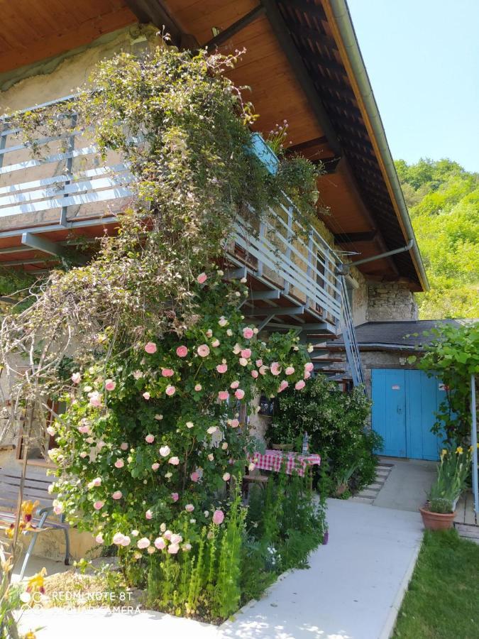 Studio Au Pied De La Montagne Et Vue Imprenable Saint-Alban  Eksteriør billede