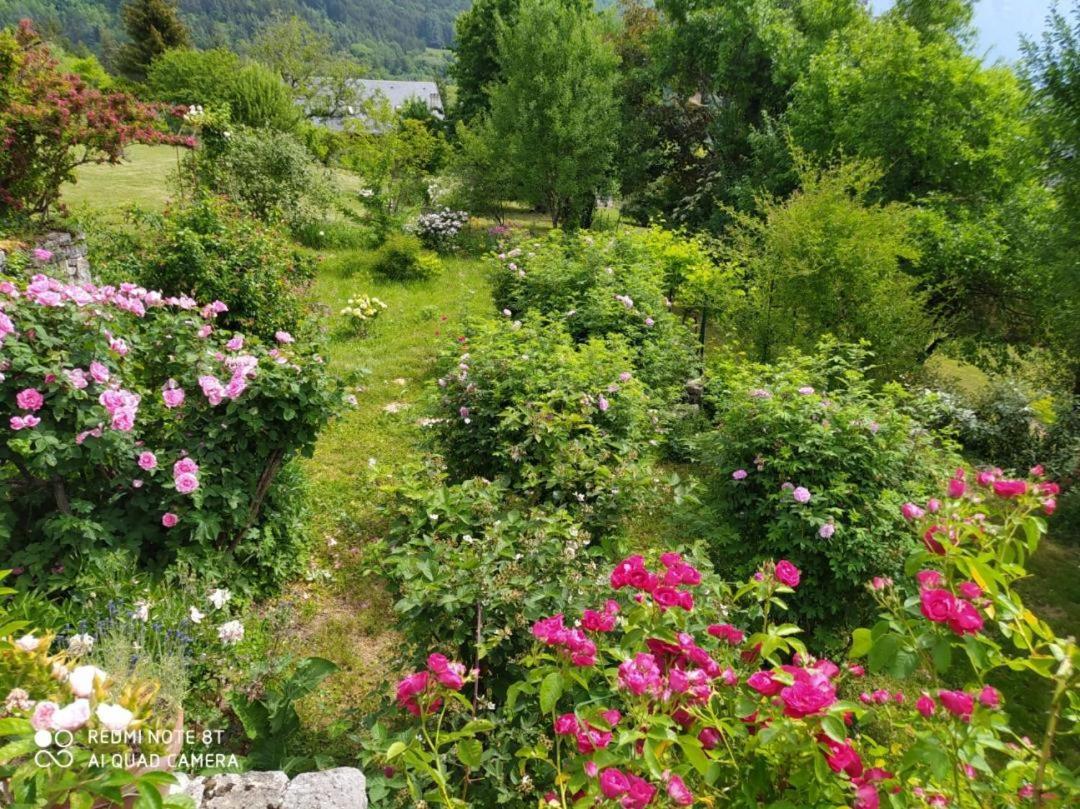 Studio Au Pied De La Montagne Et Vue Imprenable Saint-Alban  Eksteriør billede