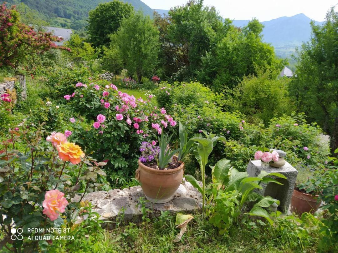 Studio Au Pied De La Montagne Et Vue Imprenable Saint-Alban  Eksteriør billede