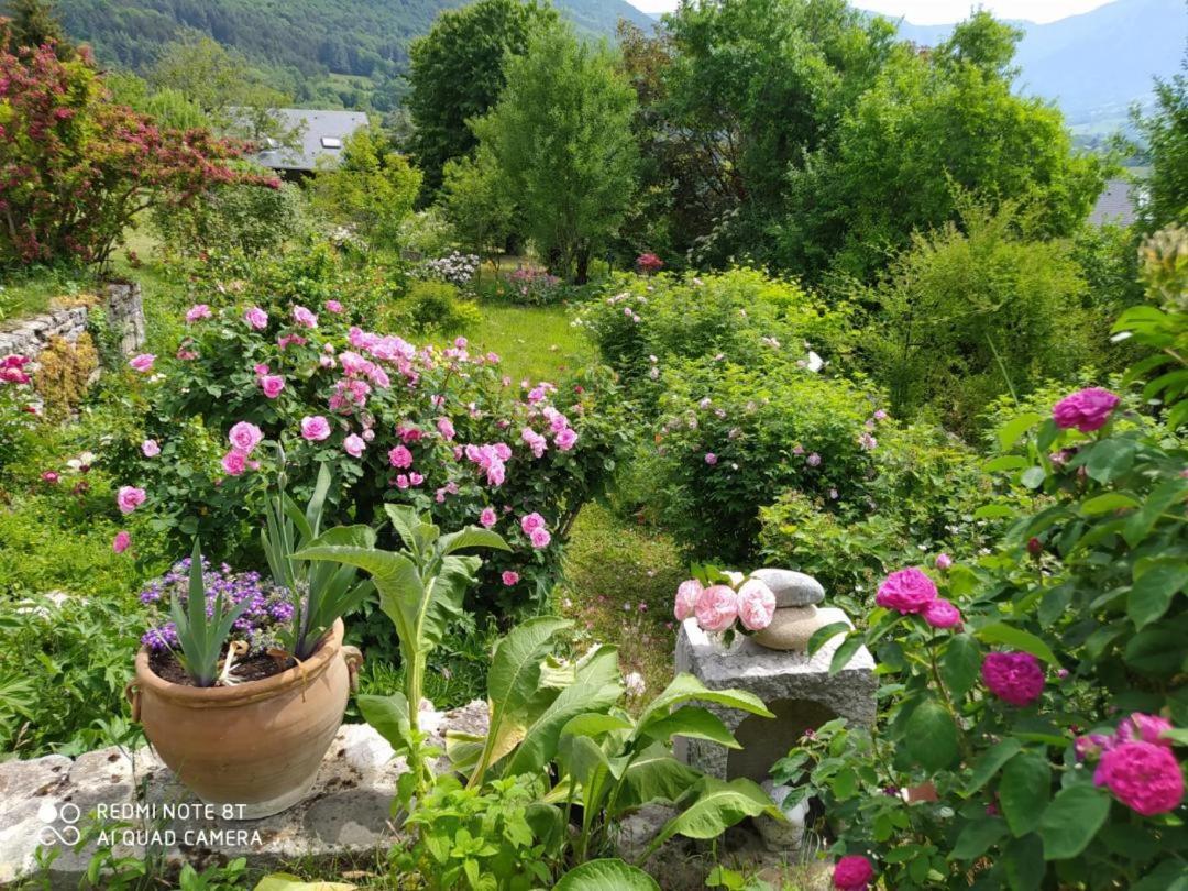 Studio Au Pied De La Montagne Et Vue Imprenable Saint-Alban  Eksteriør billede